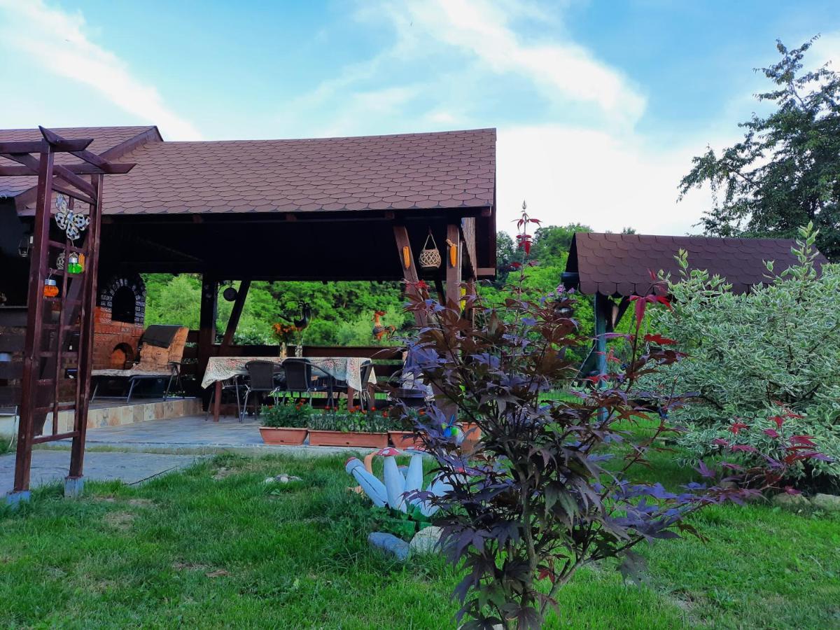 Villa Casa Bunicilor à Ciprian Porumbescu Extérieur photo
