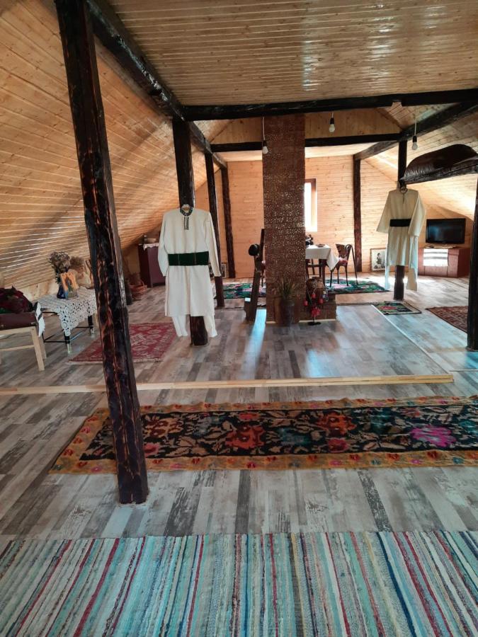 Villa Casa Bunicilor à Ciprian Porumbescu Extérieur photo