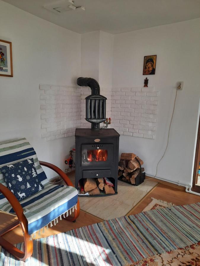 Villa Casa Bunicilor à Ciprian Porumbescu Extérieur photo