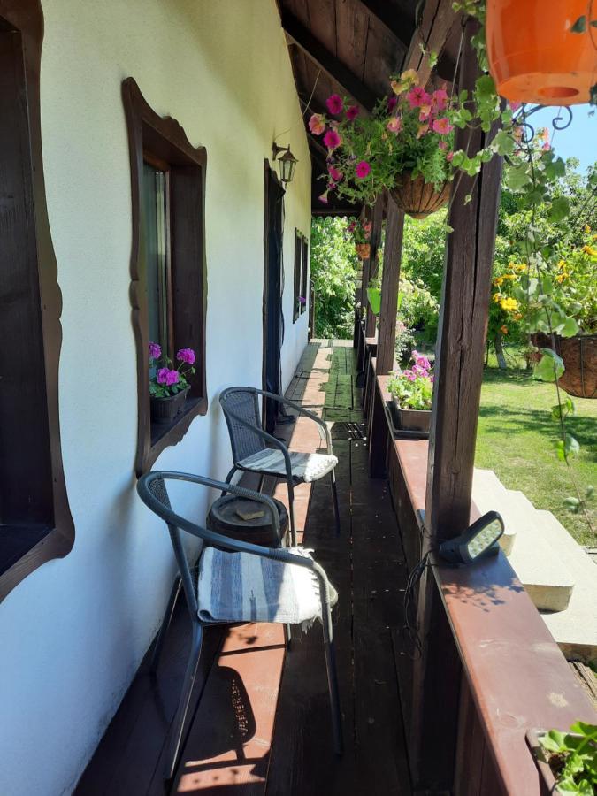 Villa Casa Bunicilor à Ciprian Porumbescu Extérieur photo