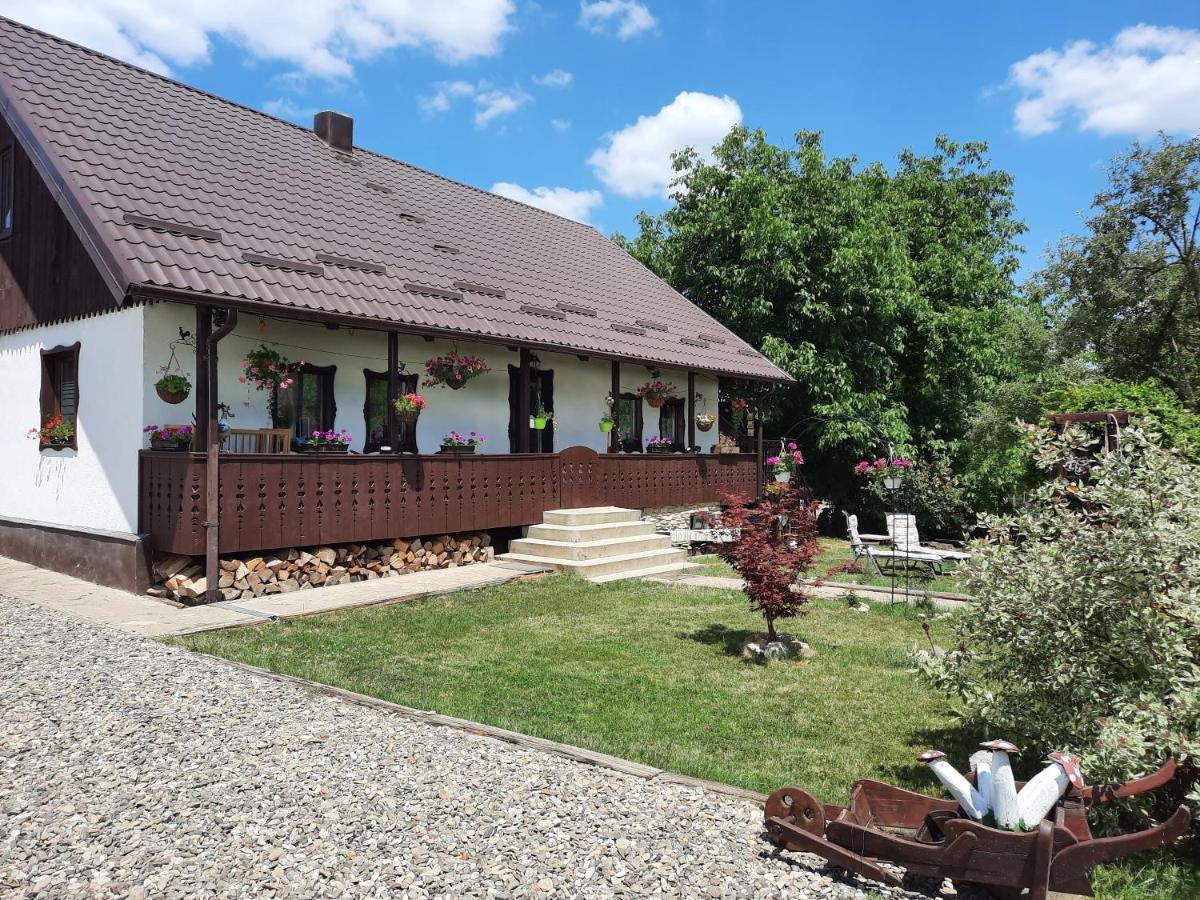 Villa Casa Bunicilor à Ciprian Porumbescu Extérieur photo