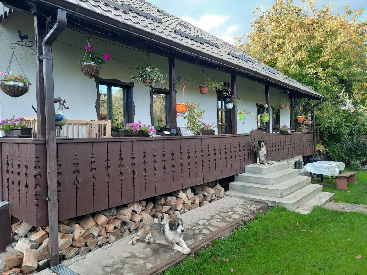 Villa Casa Bunicilor à Ciprian Porumbescu Extérieur photo