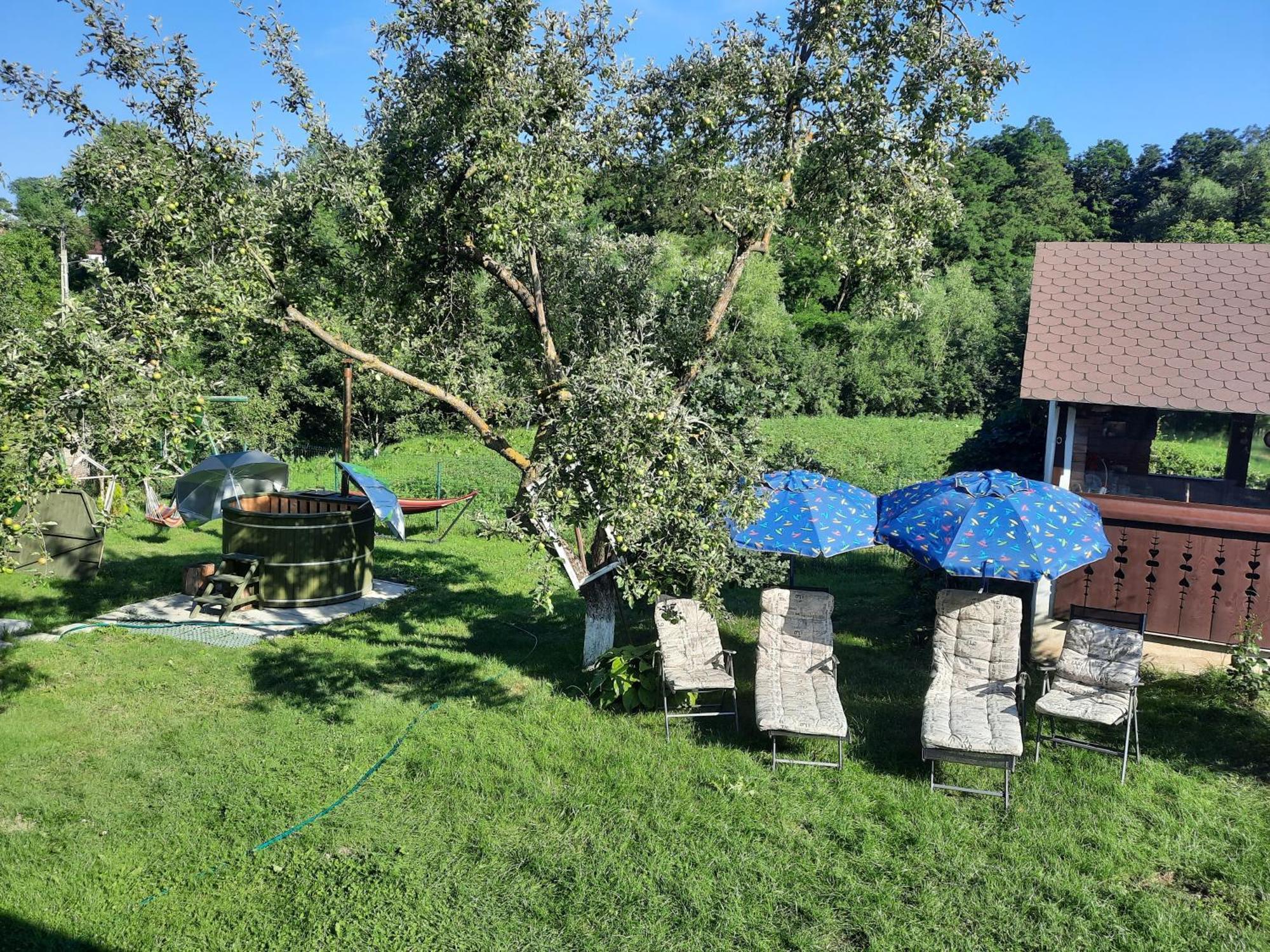 Villa Casa Bunicilor à Ciprian Porumbescu Extérieur photo